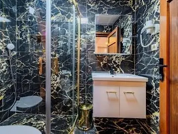 ***  Hotel Silviya Стамбул Турция